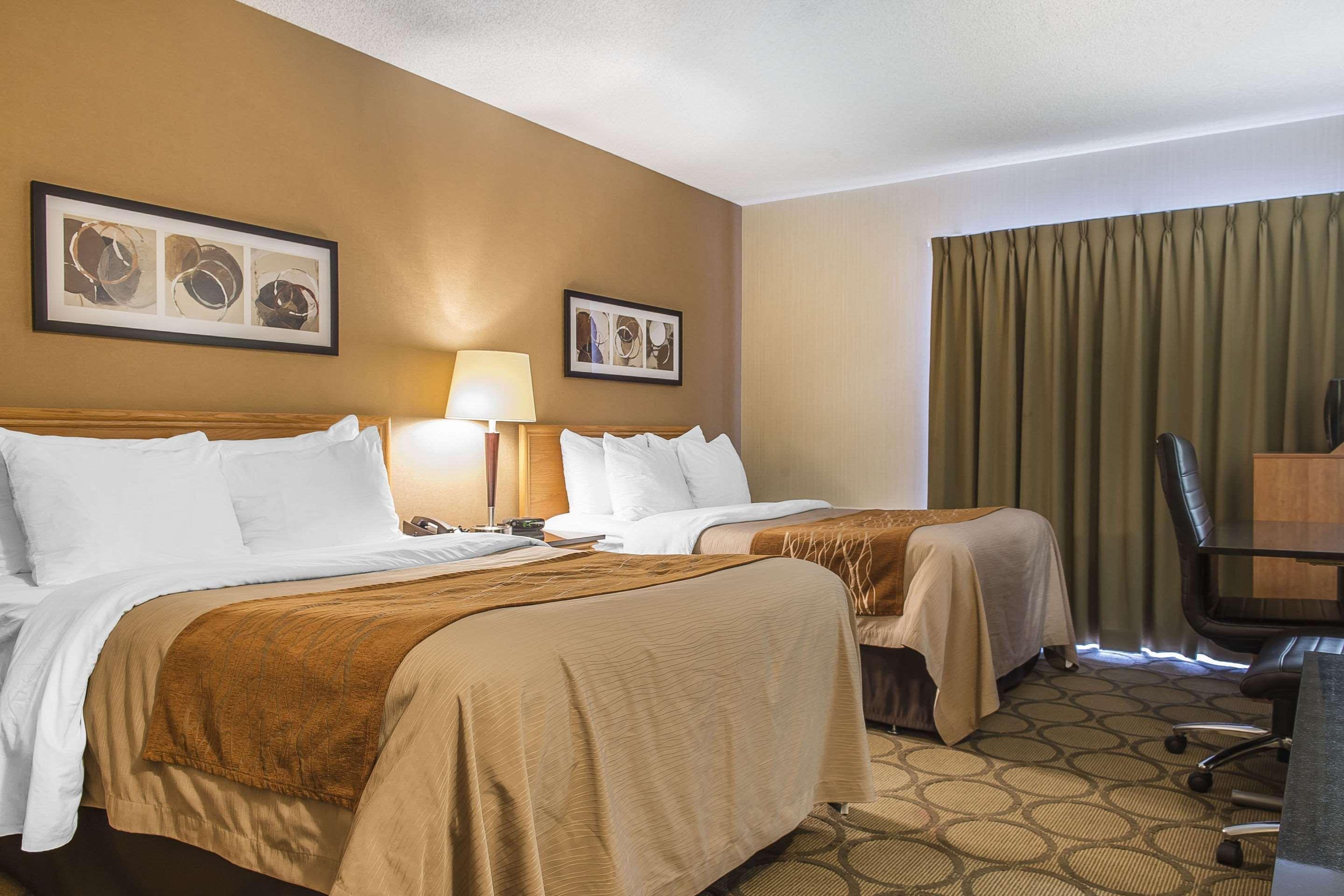 Comfort 3*